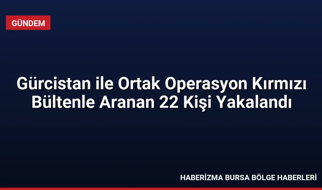 Gürcistan ile yürütülen ortak operasyonda kırmızı bültenle aranan 22 kişi