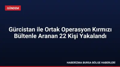 Gürcistan ile yürütülen ortak operasyonda kırmızı bültenle aranan 22 kişi
