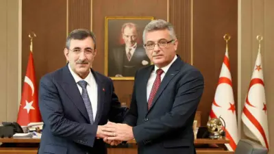 Kuzey Kıbrıs Türk Cumhuriyeti (KKTC) Cumhurbaşkanı Tufan Erhürman, Cumhurbaşkanı Yardımcısı
