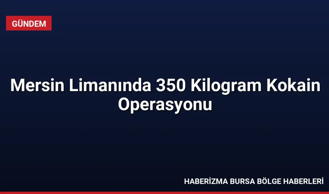 Güney Amerika'dan Mersin Limanı'na gelen bir gemiye düzenlenen operasyonda 350