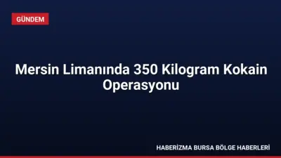 Güney Amerika'dan Mersin Limanı'na gelen bir gemiye düzenlenen operasyonda 350