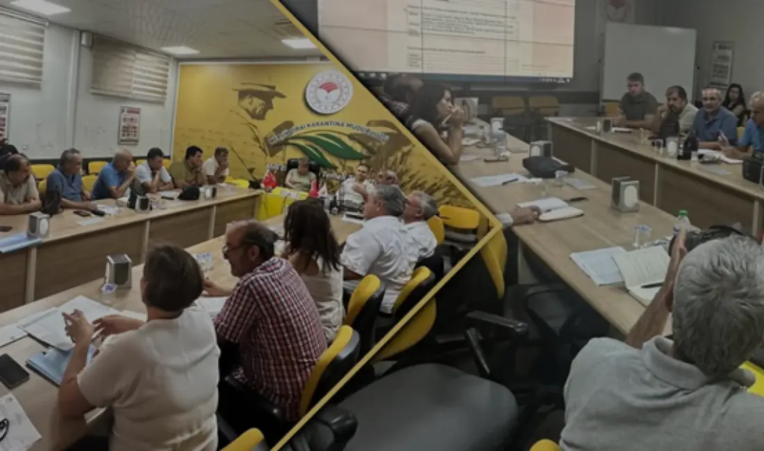 Mersin'de düzenlenen toplantıda 2026 narenciye üretim maliyetleri, TAMSİS veri doğrulama