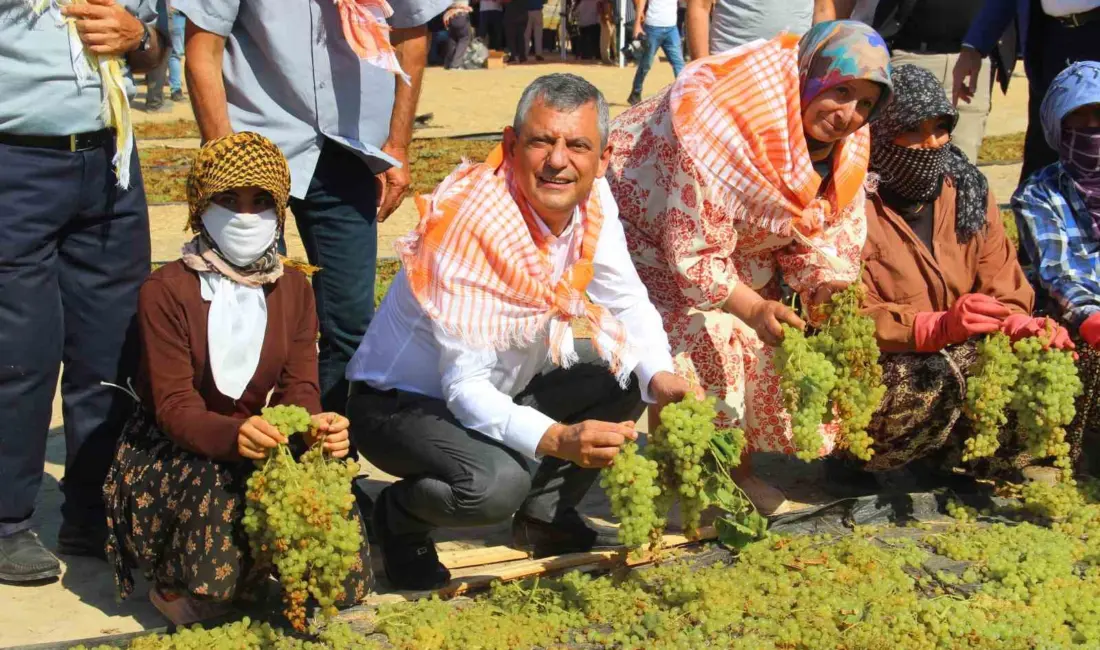 Yeni Parti Genel Başkanı Özgür Özel, Manisa’nın Şehzadeler ilçesinde üzüm
