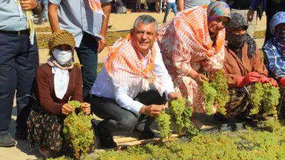 Yeni Parti Genel Başkanı Özgür Özel, Manisa’nın Şehzadeler ilçesinde üzüm
