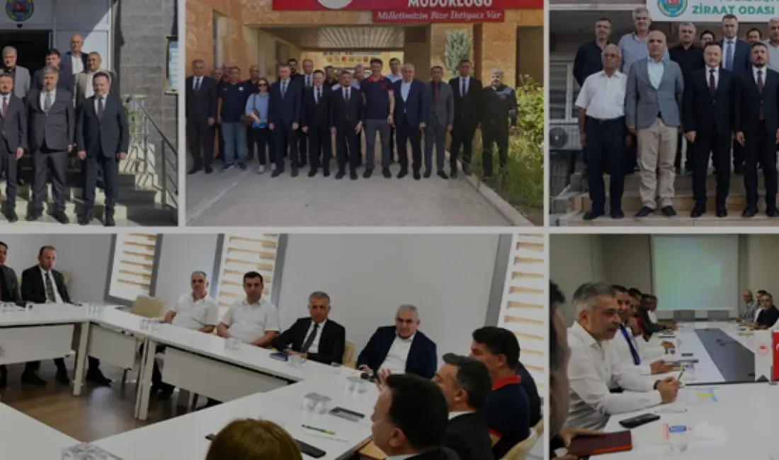 Şanlıurfa ve Mardin'de Çiftçi Kayıt Sistemi (ÇKS) başvurularının yönetimi için