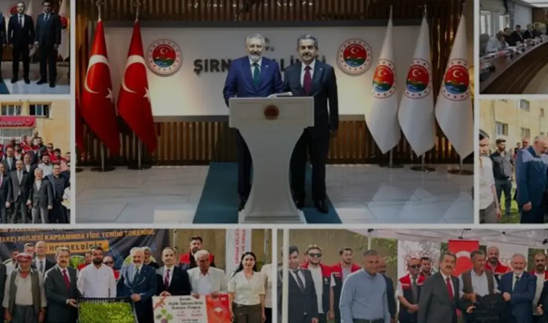 Şırnak'ta 947 dekarlık alanda kurulan Silopi Sera OTB, 1,2 milyar