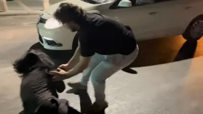 Bursa’da anayolda ters yola giren kadın sürücü, olayı görüntüleyen basın