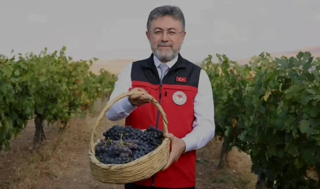 Tarım ve Orman Bakanı İbrahim Yumaklı, TMO'nun 12,3 milyon ton
