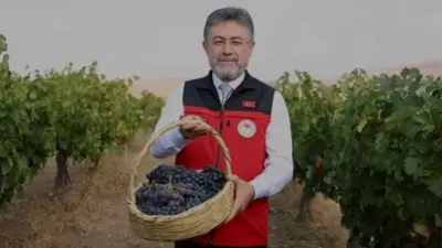 Tarım ve Orman Bakanı İbrahim Yumaklı, TMO'nun 12,3 milyon ton