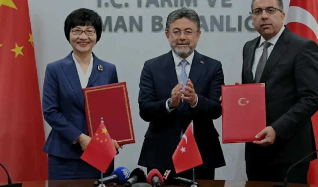 Türkiye ve Çin arasında defne yaprağı ihracatı için protokol imzalandı.