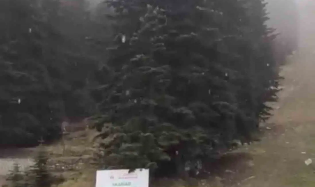 Bursa’da kış turizminin önemli merkezlerinden Uludağ’a sezonun ilk karı yağdı.