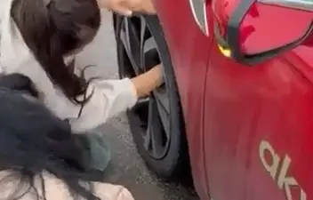 Bursa’da bir anda ana artere çıkan yavru kedi, sürücülerin yavaşlaması