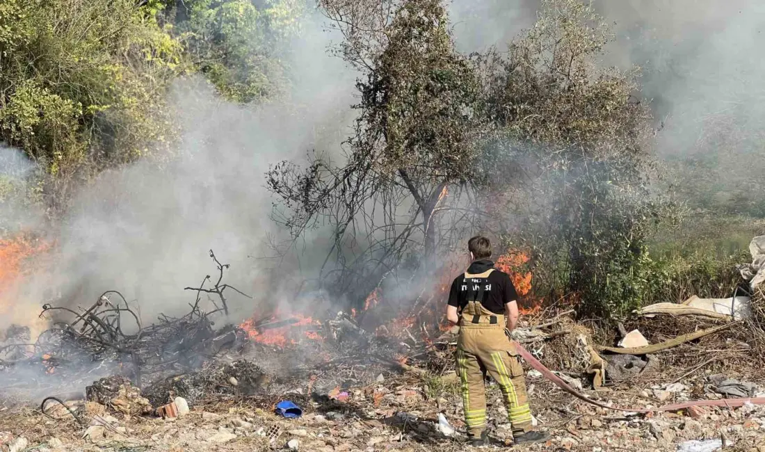 Bursa’nın Mudanya ilçesi ormanlık alanda yakılan ateşin çevredeki kuru ot