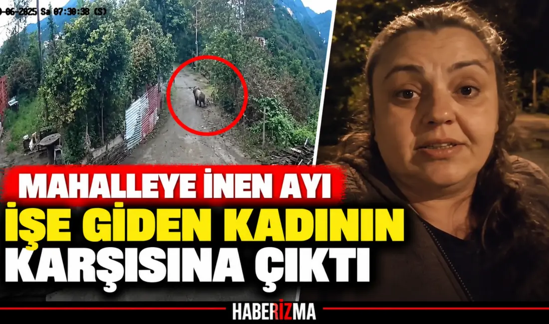 Giresun’un Görele ilçesinde sabah saatlerinde yerleşim alanına giren ayı, mahalle