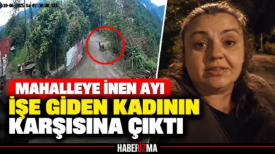 Giresun’un Görele ilçesinde sabah saatlerinde yerleşim alanına giren ayı, mahalle