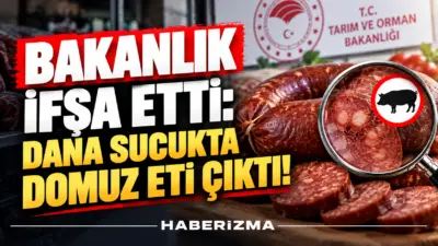 Tarım ve Orman Bakanlığı, halk sağlığını tehlikeye düşüren gıdalar ile