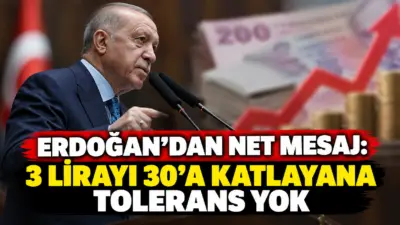 Cumhurbaşkanı Recep Tayyip Erdoğan, sermaye piyasalarında tasfiye süreci ve adli
