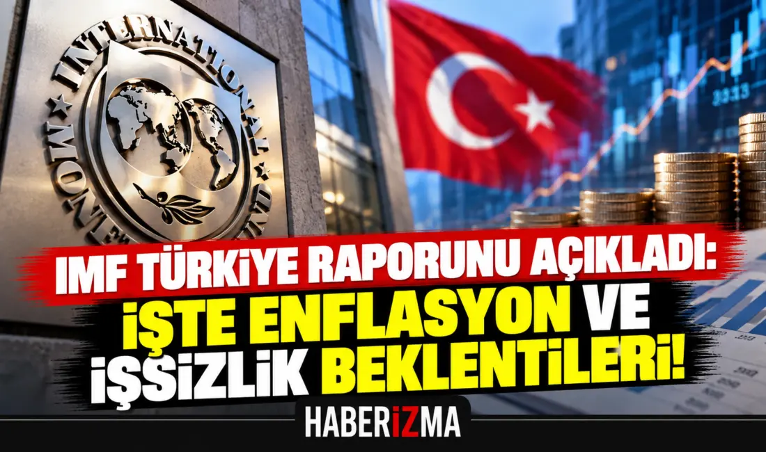 Uluslararası Para Fonu (IMF), Dünya Ekonomik Görünümü Raporu'nun Ekim 2026