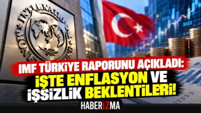 Uluslararası Para Fonu (IMF), Dünya Ekonomik Görünümü Raporu'nun Ekim 2026