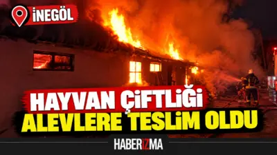 Bursa’nın İnegöl ilçesinde çıkan yangında büyükbaş hayvan çiftliği kullanılamaz hale