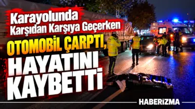 Bursa’nın İnegöl ilçesinde meydana gelen trafik kazasında otomobilin çarptığı 63