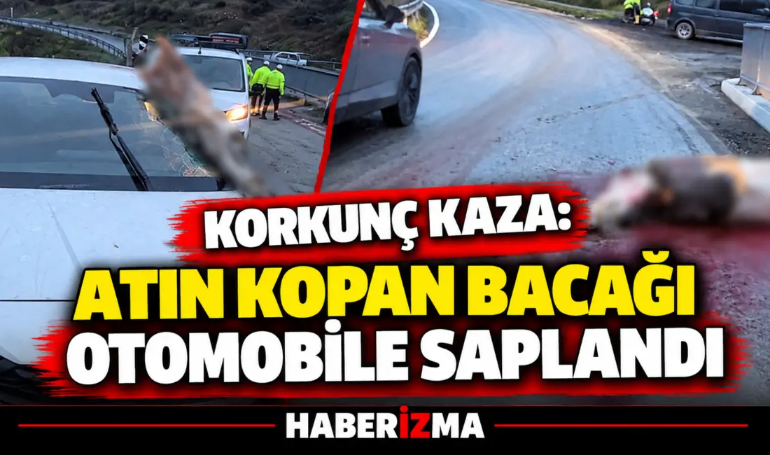 İstanbul’un Arnavutköy ilçesinde virajda kontrolden çıkan otomobil, karşı yönden gelen