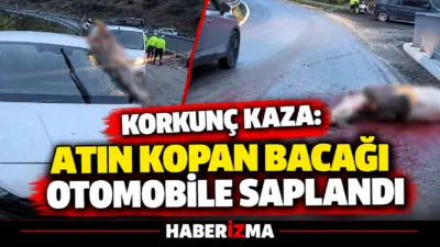 İstanbul’un Arnavutköy ilçesinde virajda kontrolden çıkan otomobil, karşı yönden gelen