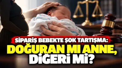 Yasa dışı üreme hücresi ticareti ve taşıyıcı annelik çetesine yönelik
