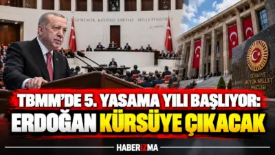 Türkiye Büyük Millet Meclisi (TBMM), 10 Ağustos'ta çerçeve yasanın kabul