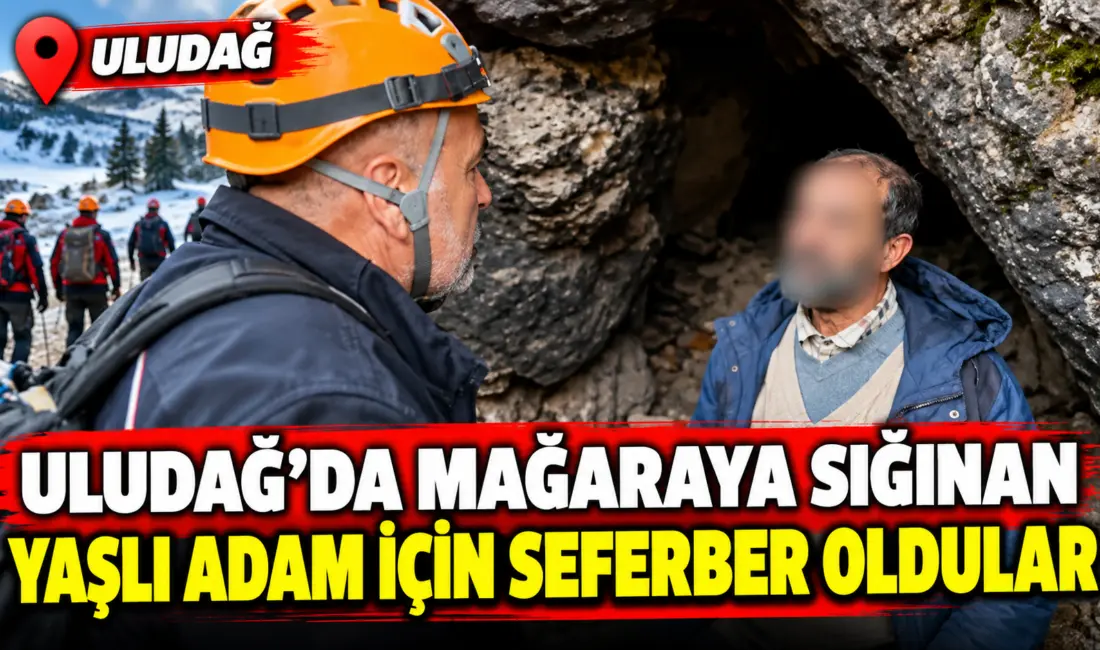 Bursa Uludağ’da dağcılık ve trekking yapan sporcular, ormanlık alandaki bir