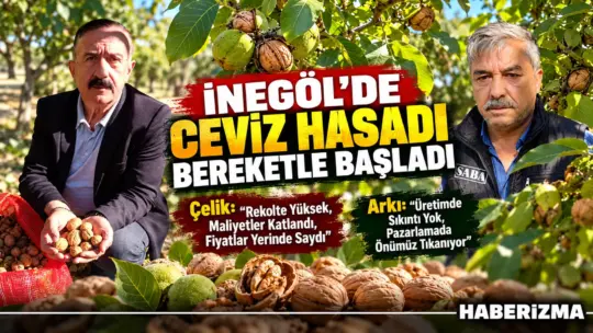 İnegöl’e bağlı tarım merkezlerinde ceviz hasadı tüm hızıyla devam ediyor.