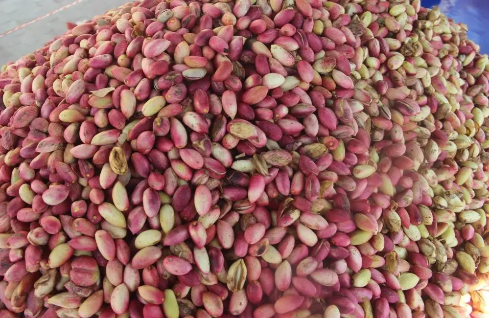 ABD Tarım Bakanlığı (USDA) Dış Tarım Servisi (FAS) tarafından yayınlanan