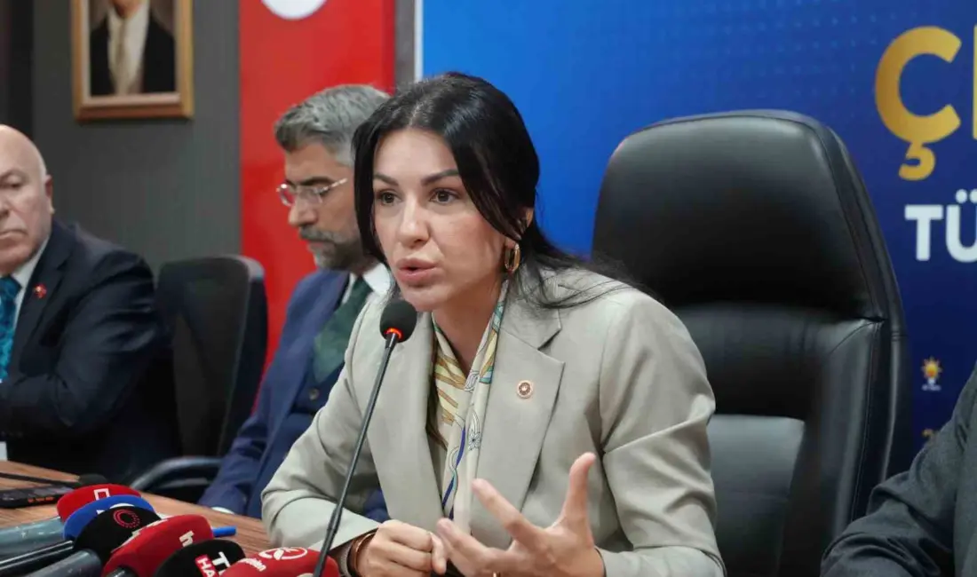 AK Parti Genel Başkan Yardımcısı ve Çevre ve Şehircilik Politikaları