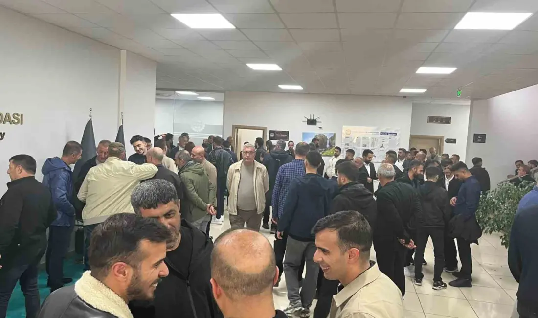 Bingöl Ticaret ve Sanayi Odası’nda (BİNTSO) meslek komitesi ve meclis