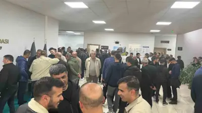 Bingöl Ticaret ve Sanayi Odası’nda (BİNTSO) meslek komitesi ve meclis