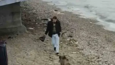 Bursa’nın Mudanya ilçesinde yiyecek arayışına çıkan yaban domuzu sahile kadar