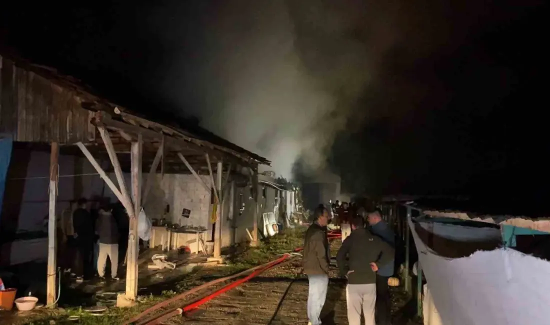 Bursa’nın İnegöl ilçesinde çıkan yangında büyükbaş hayvan çiftliği kullanılamaz hale
