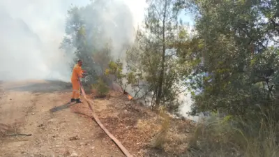Bursa’nın Keles ilçesinde Kemaliye ile Yazıcıbaşı mahalleleri arasındaki ormanlık alanda