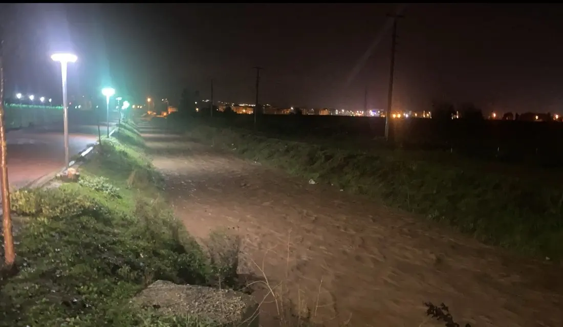 Bursa’nın Yenişehir ilçesinde etkili olan aşırı yağış, tarım arazilerini sular
