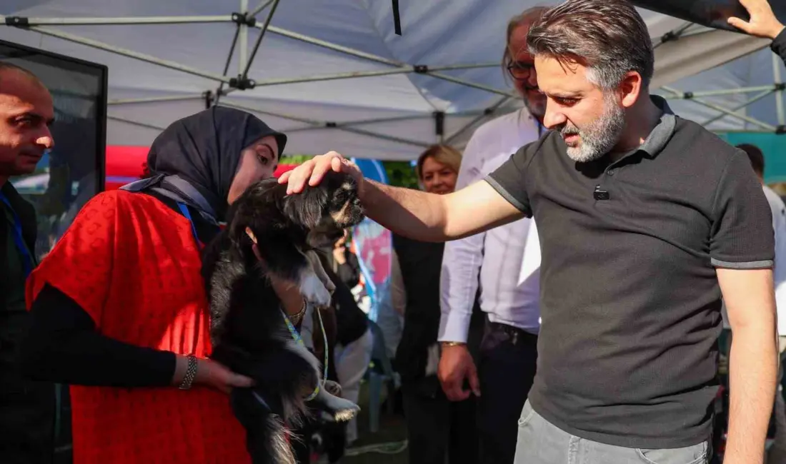 Bursa Büyükşehir Belediyesi, can dostların hayat şartlarını iyileştirmek ve sahiplendirmeyi