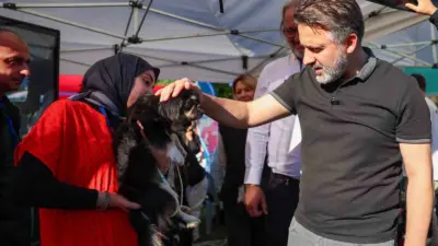 Bursa Büyükşehir Belediyesi, can dostların hayat şartlarını iyileştirmek ve sahiplendirmeyi
