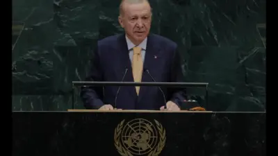 Cumhurbaşkanı Erdoğan, BM'nin 81. kuruluş yıl dönümü mesajında Güvenlik Konseyi