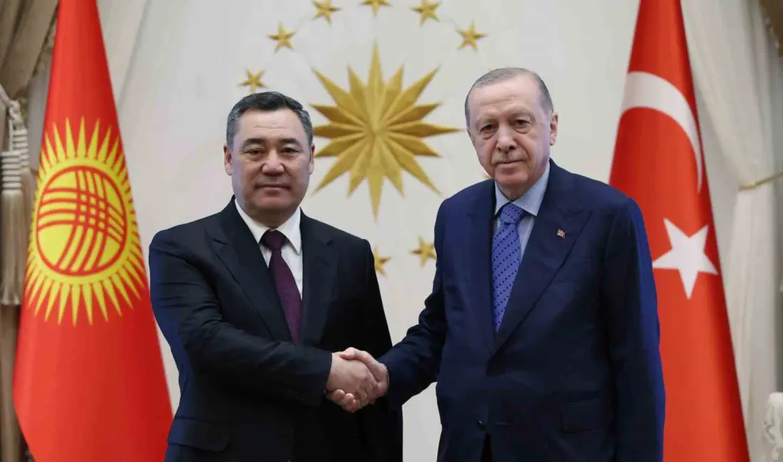 Cumhurbaşkanı Recep Tayyip Erdoğan, Türk Devletleri Teşkilatı (TDT) Devlet Başkanları