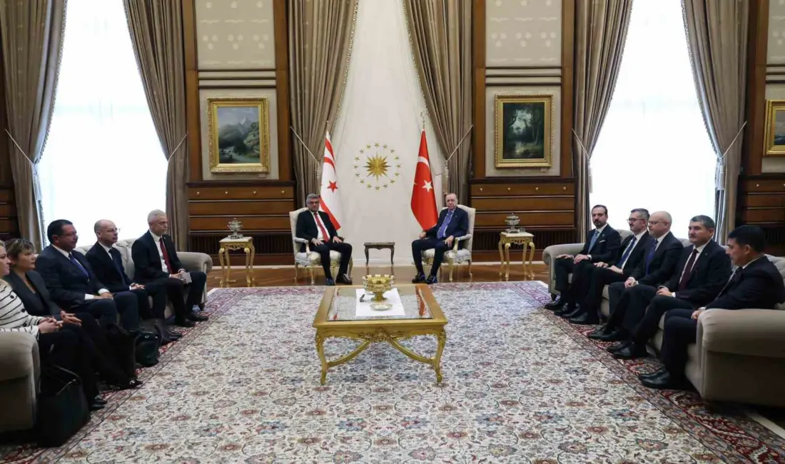 Cumhurbaşkanı Recep Tayyip Erdoğan, Türk Devletleri Teşkilatı (TDT) Devlet Başkanları