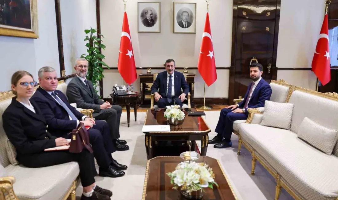 Cumhurbaşkanı Yardımcısı Cevdet Yılmaz Ukrayna’nın Ankara Büyükelçisi Neriman Celal ile