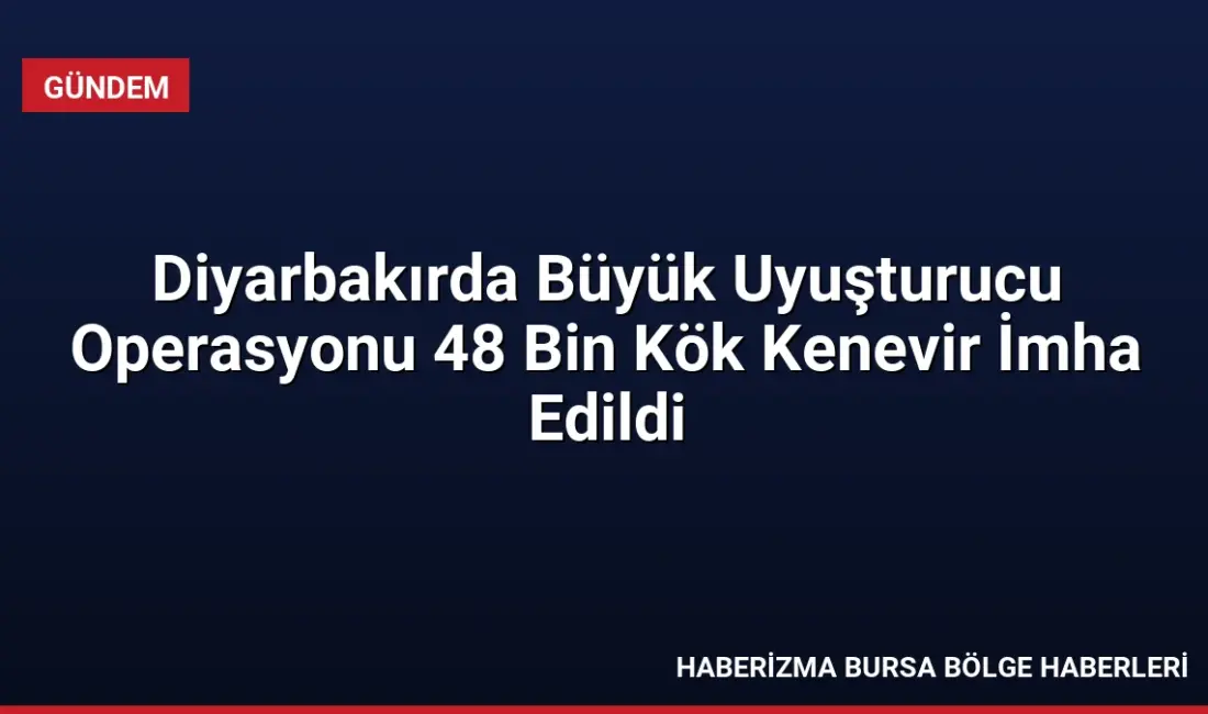 Diyarbakır'da jandarma ekiplerince düzenlenen operasyonlarda 48 bini aşkın kök kenevir