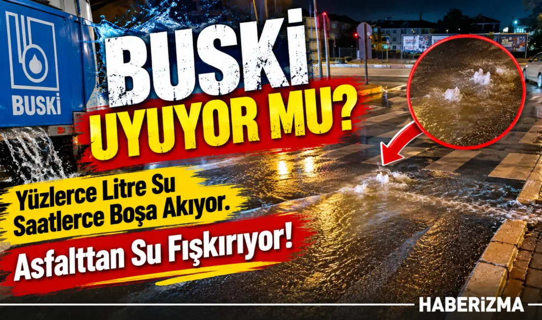 İnegöl’ün en işlek güzergahlarından biri olan Alanyurt yolu Yağlı Tohumlar
