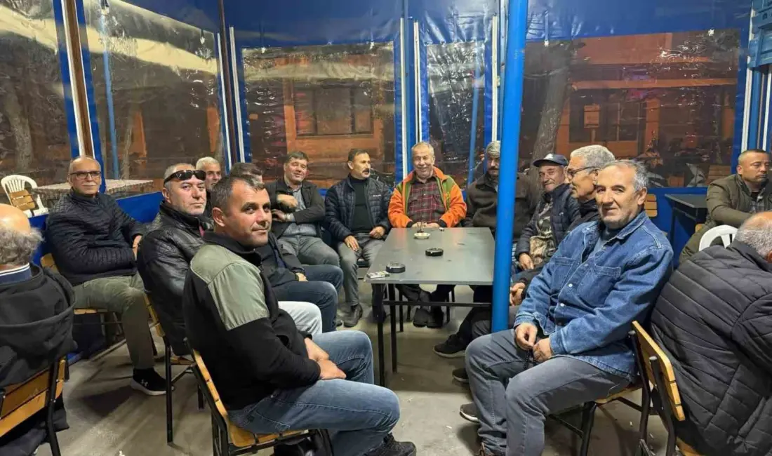 Gömeç ilçesinde, zeytin hasadı başlarken, MHP Gömeç İlçe Başkanı Kazım