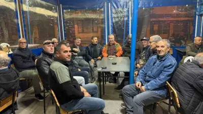 Gömeç ilçesinde, zeytin hasadı başlarken, MHP Gömeç İlçe Başkanı Kazım