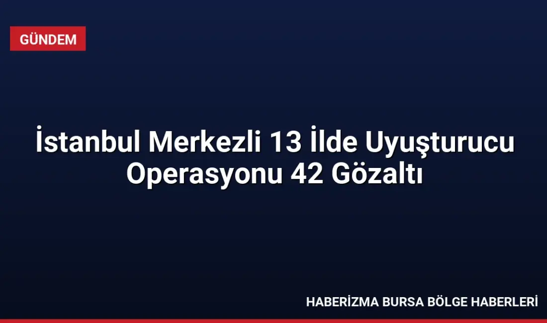 İstanbul merkezli 13 ilde düzenlenen operasyonda 42 şüpheli yakalandı, 7